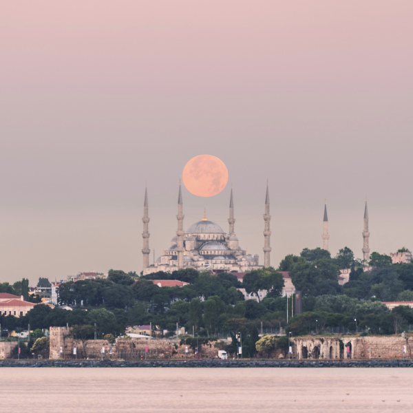 Pelin_Genc_5