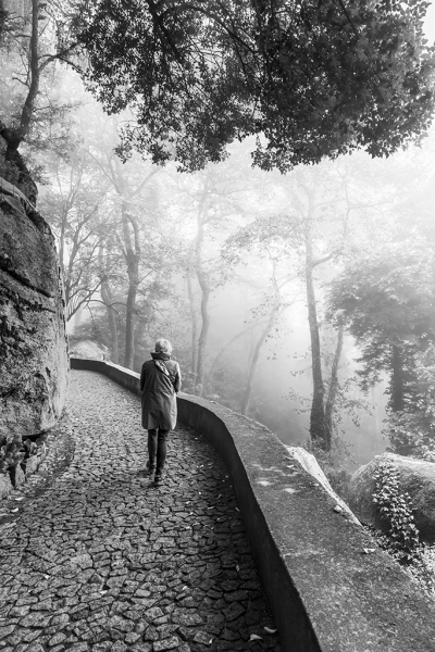 Into_the_Mist