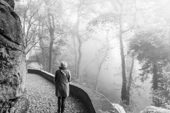 Into_the_Mist