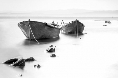 BW_36