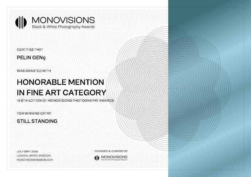 Monovisions_Certificate_Pelin_Gen1722187976