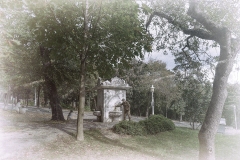 Yildiz-Parki-1