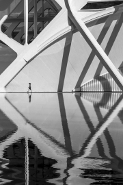 Walk Through the Lines
