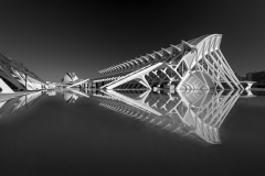 BW_7