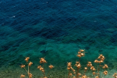 PG_Prints_15