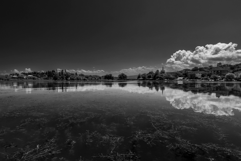 DSC_2408-r-s